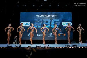 FIGURE НОВИЧКИ